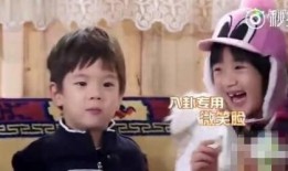 吃瓜娱乐圈八卦长视频,揭秘明星幕后故事，长视频带你领略八卦魅力